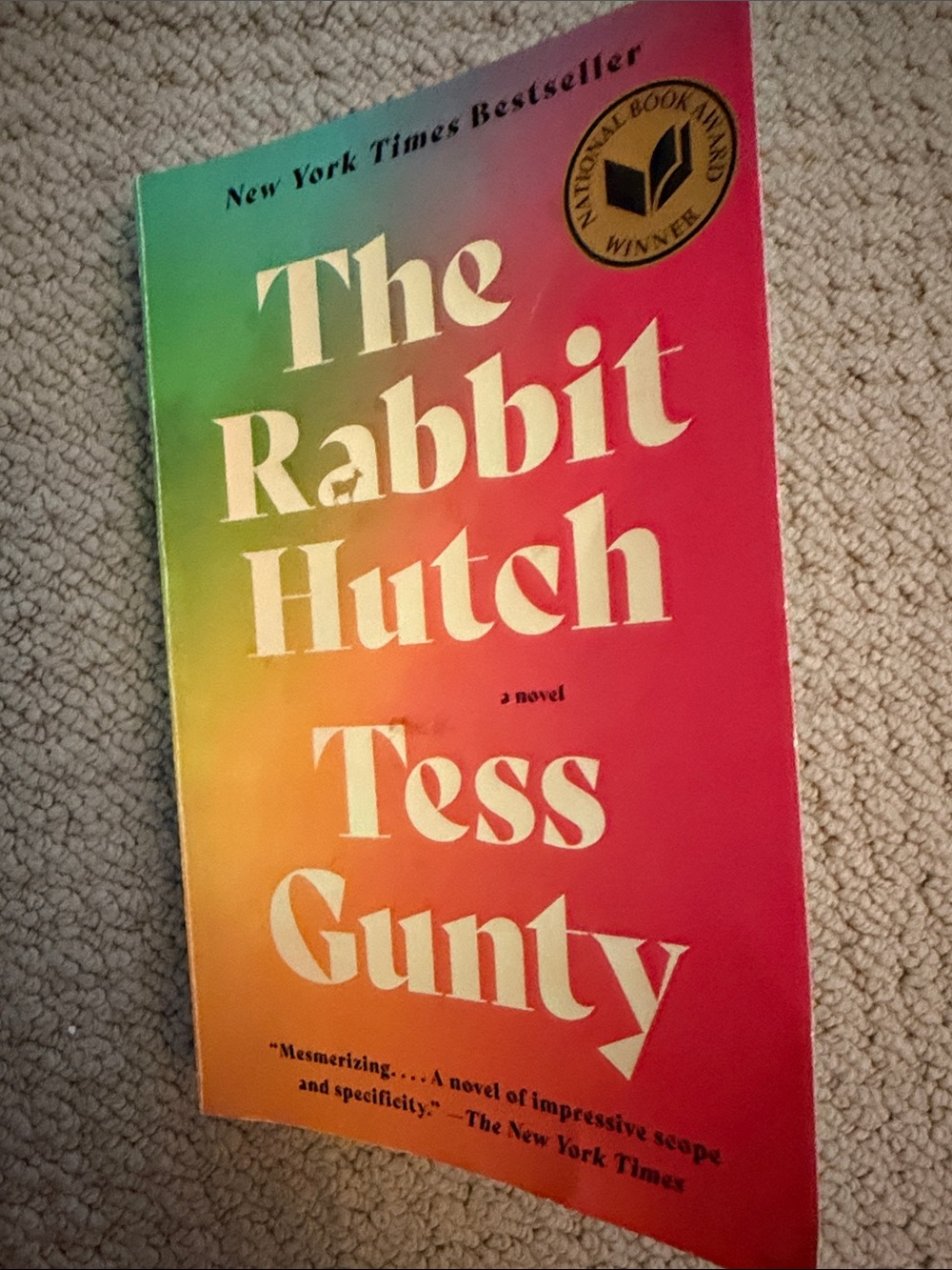 Tess Gunty — The Rabbit Hutch (Multicolor Paperback)